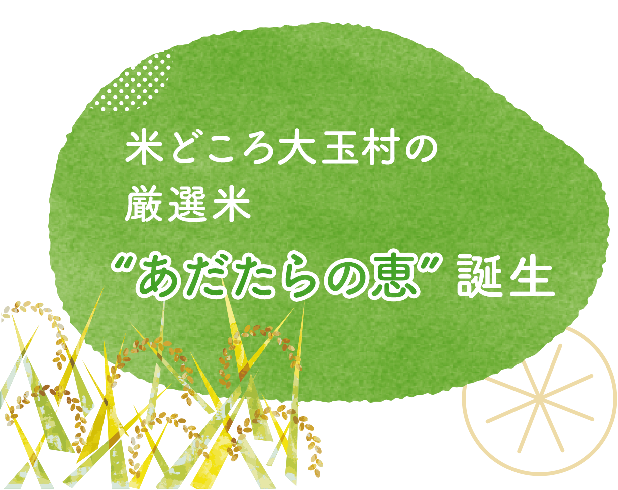 米所大玉村の厳選米 あだたらの恵 誕生