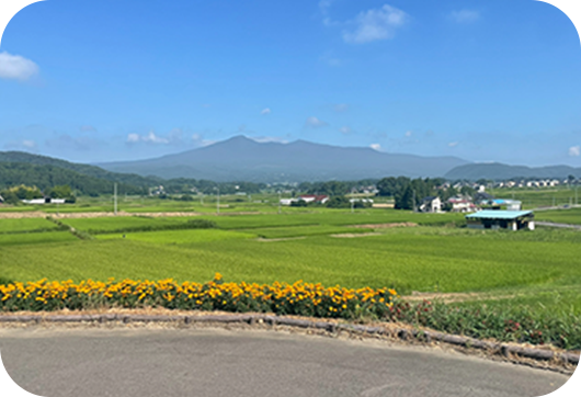 野内与吉メモリアルポケットパーク