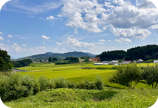 大名倉山からの景色