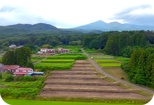 マチュピチュとよく似ている石垣の棚田