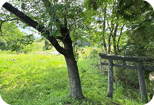 いなっさま(定場稲荷神社)
