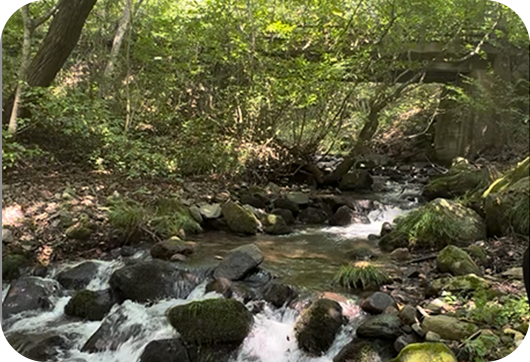三森池近くの川